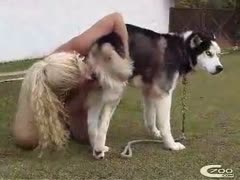 In this beastiality film, a once-priceless, all-natural college lady slurps on a dog dick.
